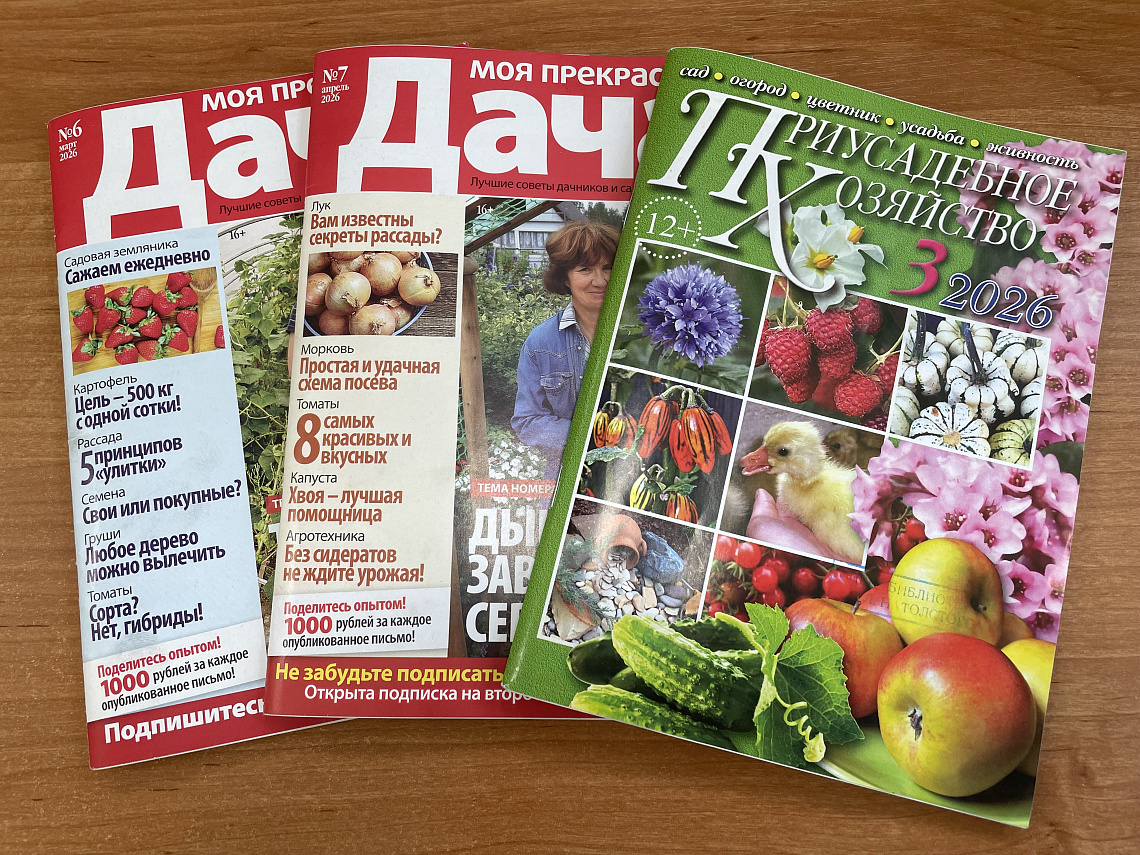 В спецбиблиотеке прошёл познавательный час «Как создать сад своей мечты»